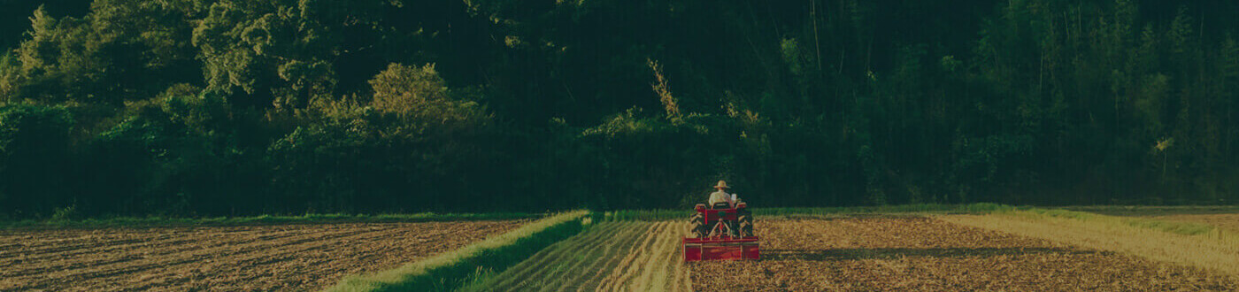 page-header-img